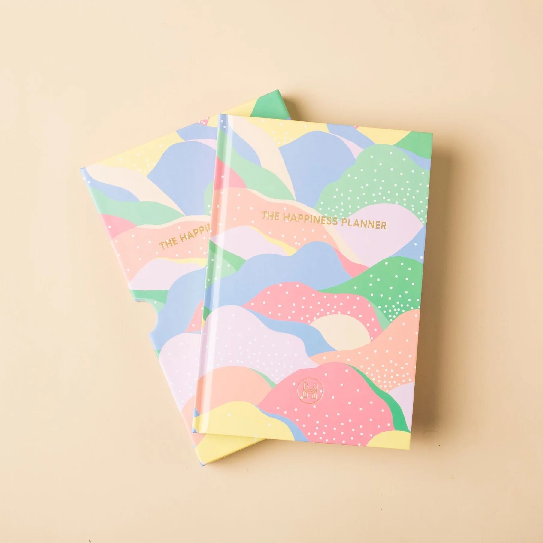 The 100-Day Planner | Waves of Joy