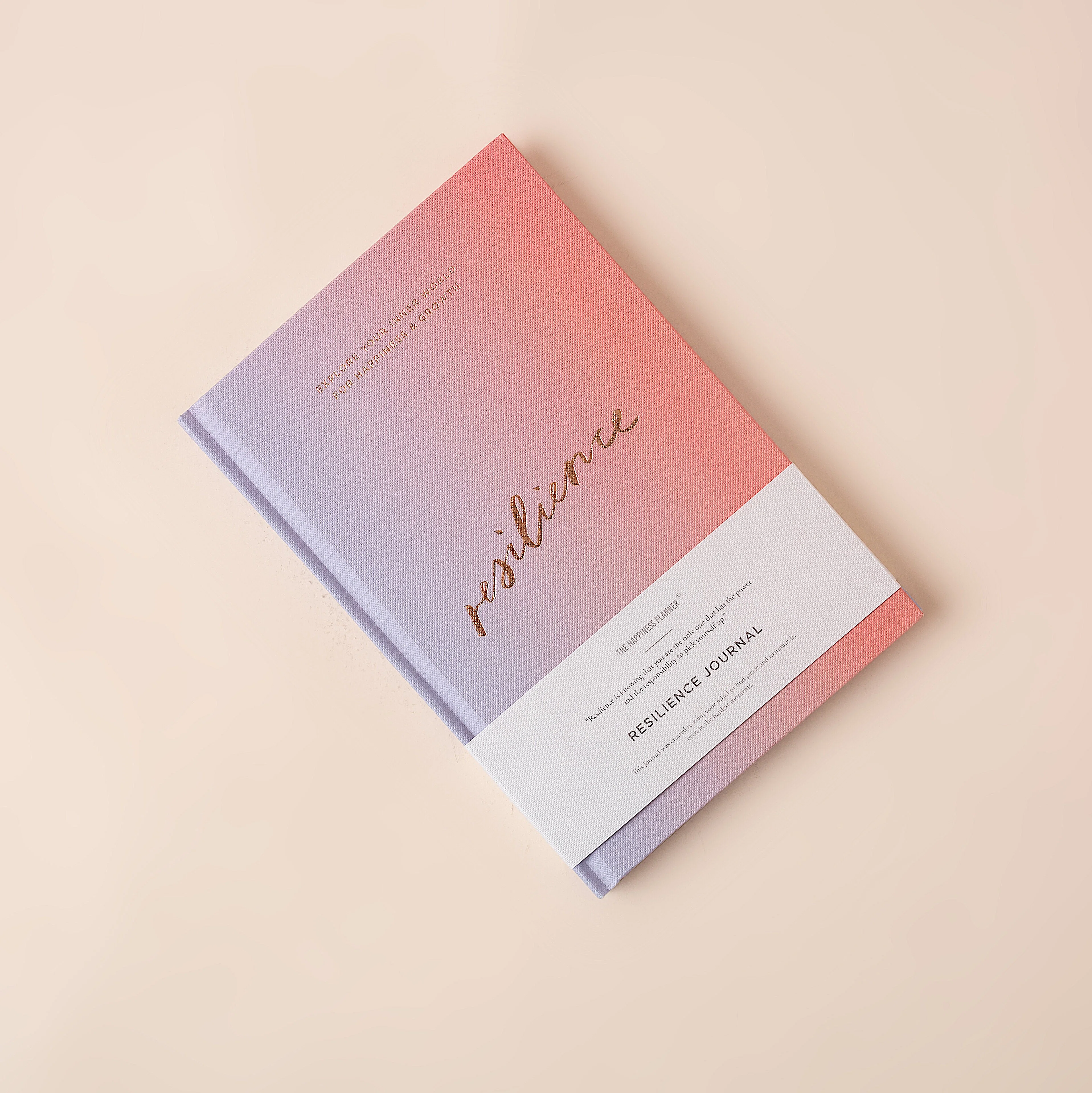 Resilience Journal