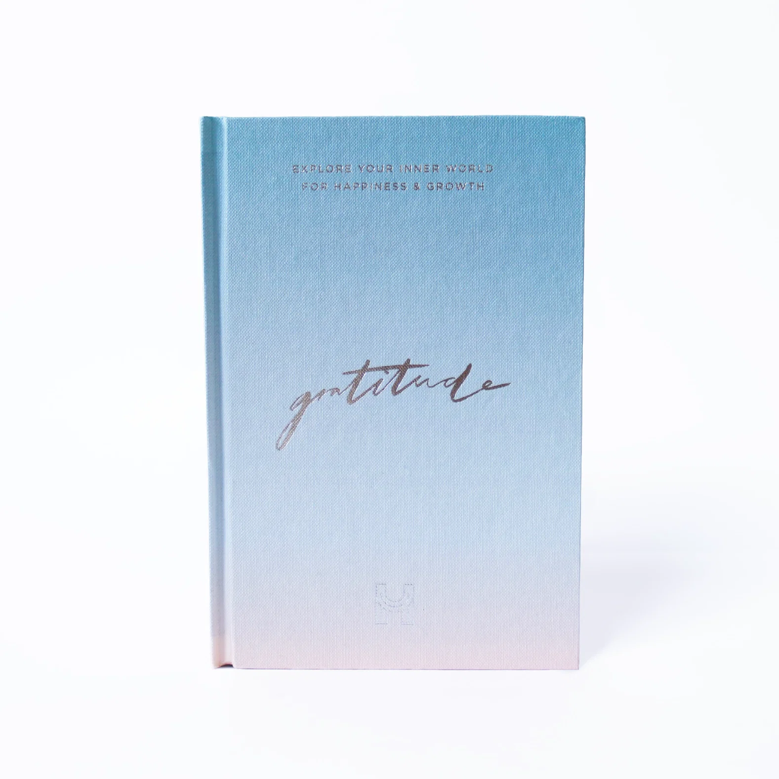 Gratitude Journal (Blue)